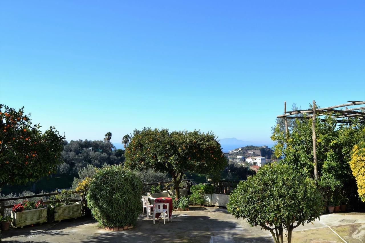Ferienwohnung Il Viale Massa Lubrense Exterior foto